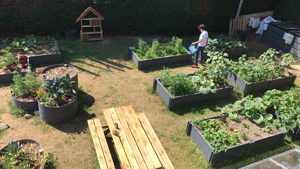 Potager collectif à Sequoia Uccle